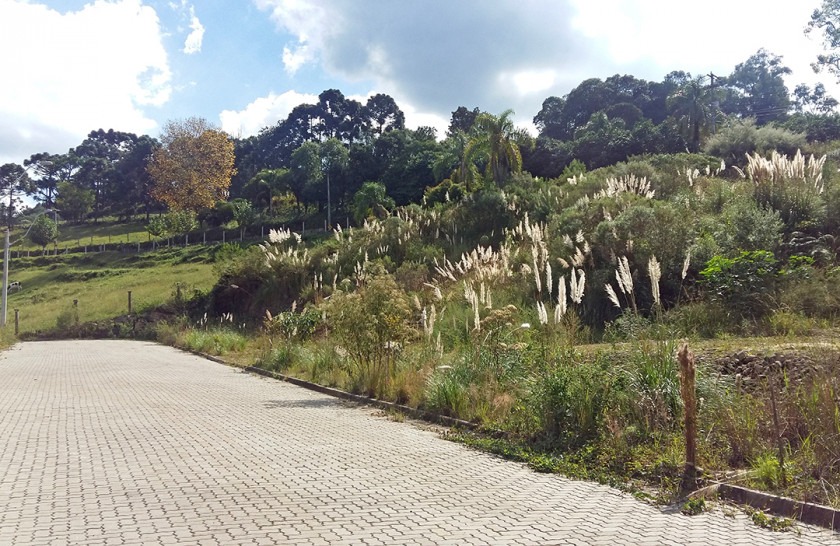 Terreno à venda, 311m² - Foto 2