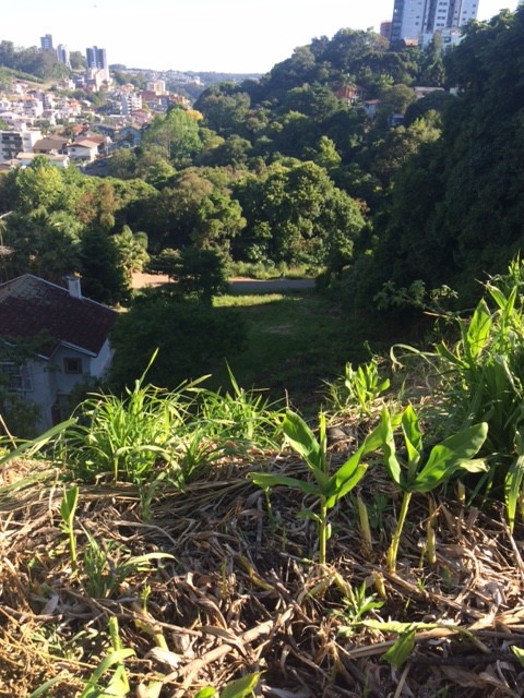 Terreno à venda, 897m² - Foto 2