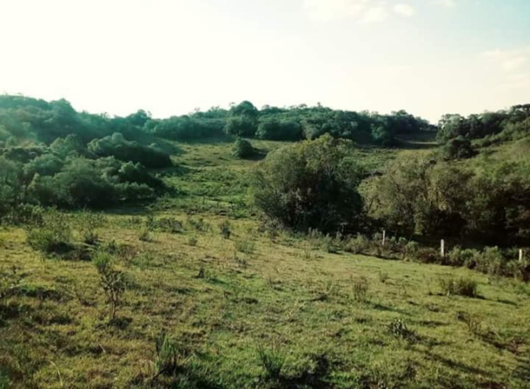 Terreno à venda, 20000m² - Foto 3