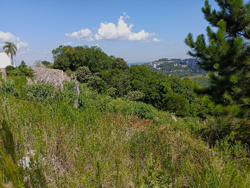 Terreno à venda, 750m² - Foto 3