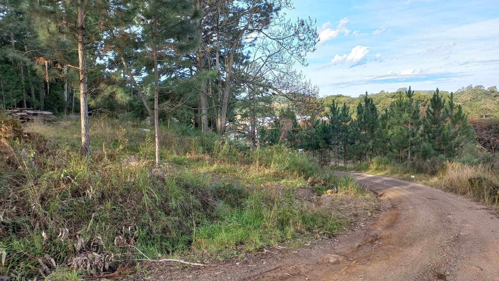 Loteamento e Condomínio à venda, 20000m² - Foto 5