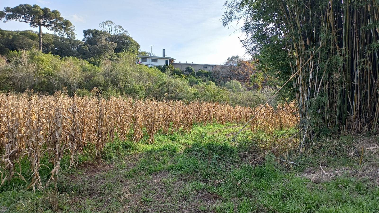 Loteamento e Condomínio à venda, 27480m² - Foto 15