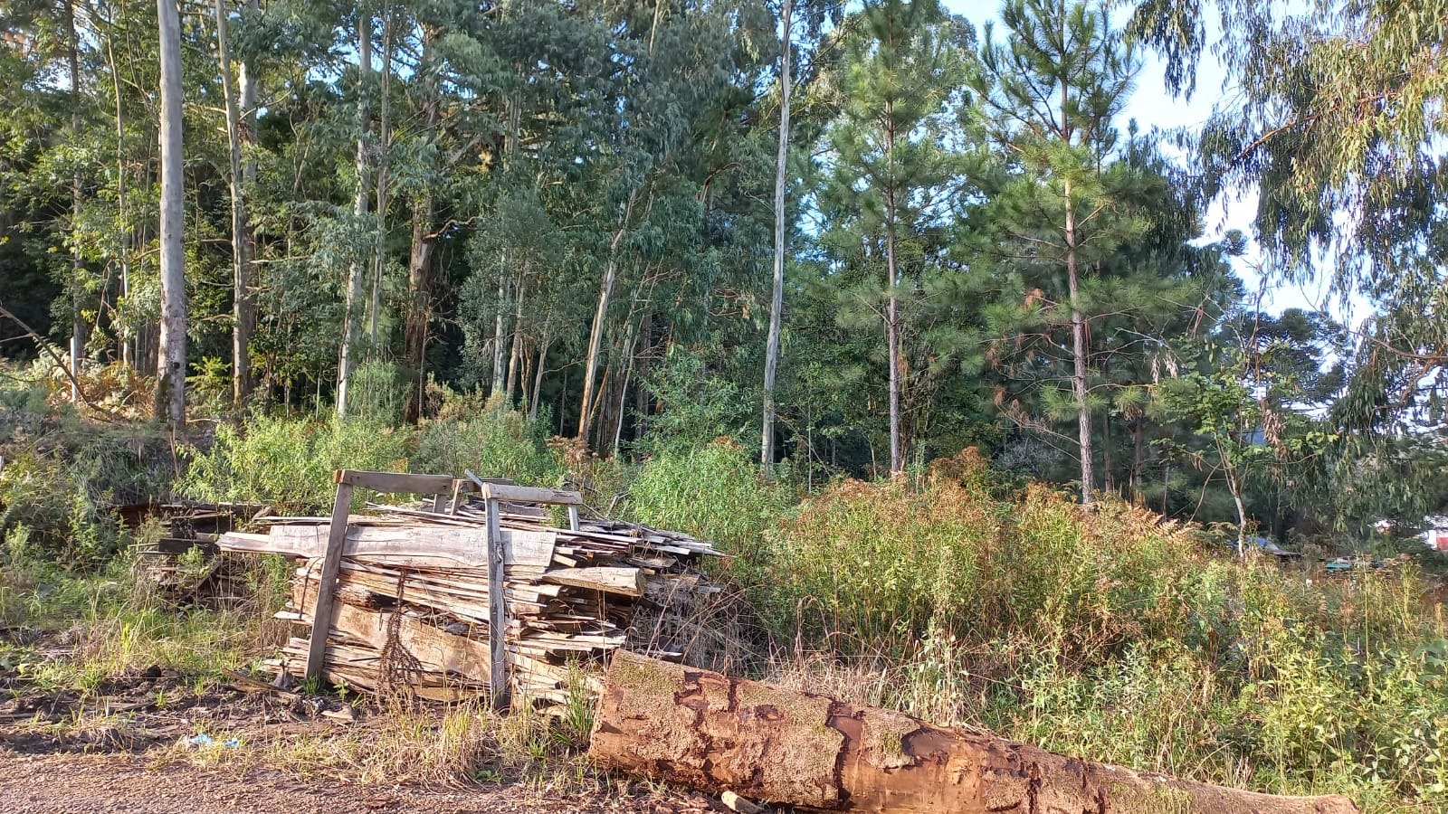 Loteamento e Condomínio à venda, 20000m² - Foto 9