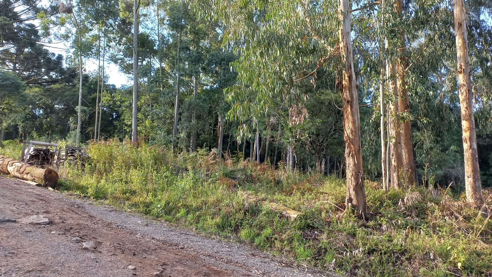 Loteamento e Condomínio à venda, 20000m² - Foto 4