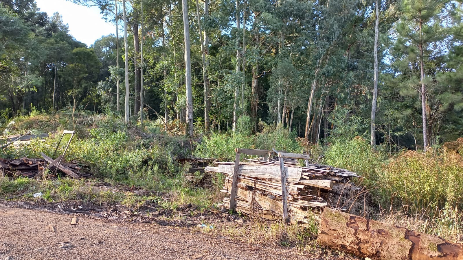 Loteamento e Condomínio à venda, 20000m² - Foto 8