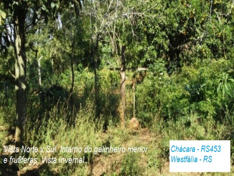 Fazenda à venda com 2 quartos, 12m² - Foto 20