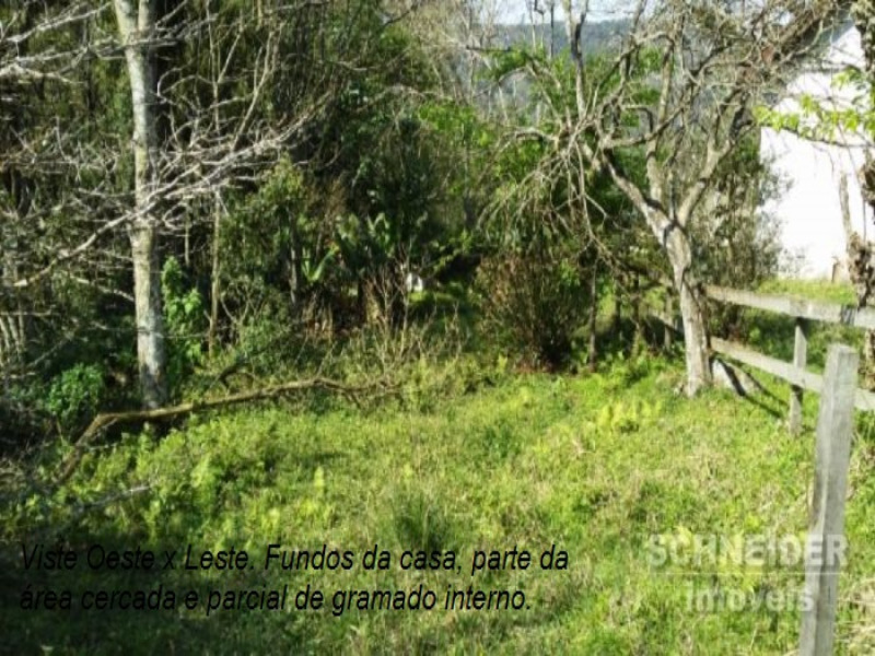 Fazenda à venda com 2 quartos, 12m² - Foto 19