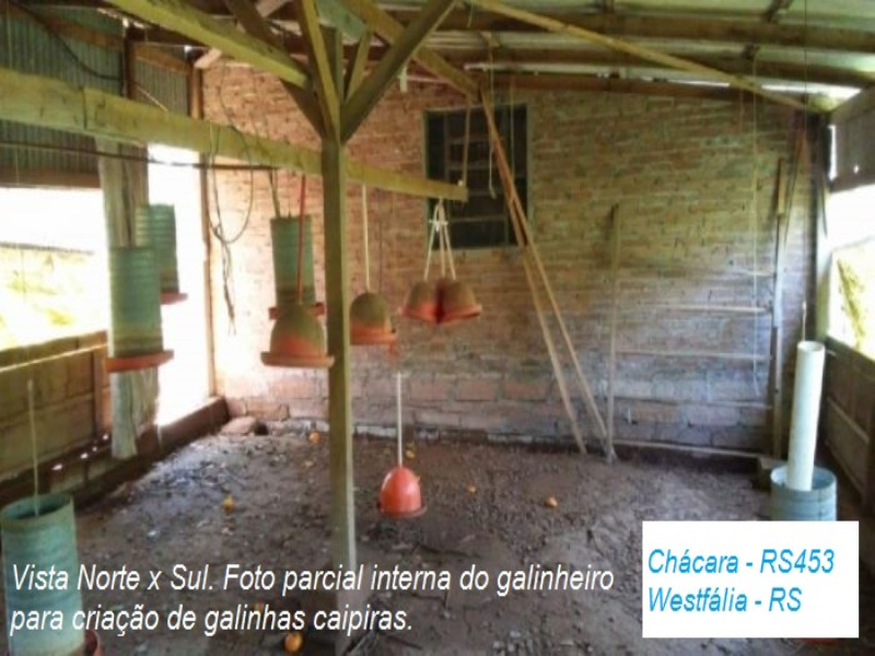 Fazenda à venda com 2 quartos, 12m² - Foto 13