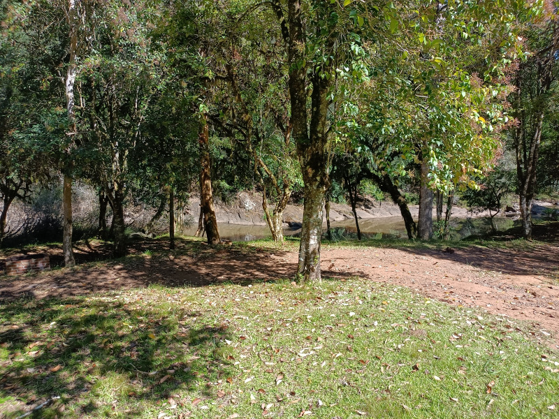 Fazenda à venda, 220000m² - Foto 13