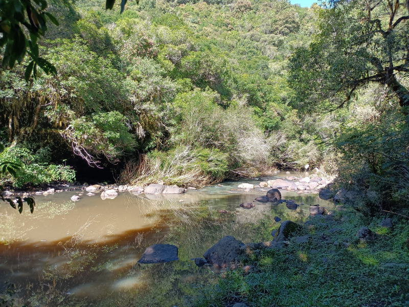 Fazenda à venda, 220000m² - Foto 22