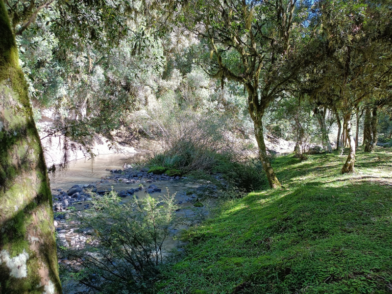 Fazenda à venda, 220000m² - Foto 15