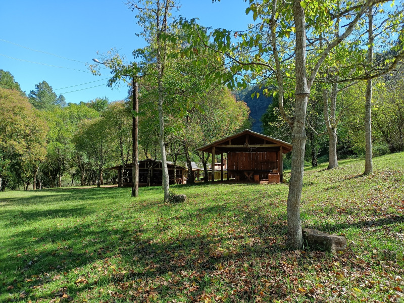 Fazenda à venda, 220000m² - Foto 60