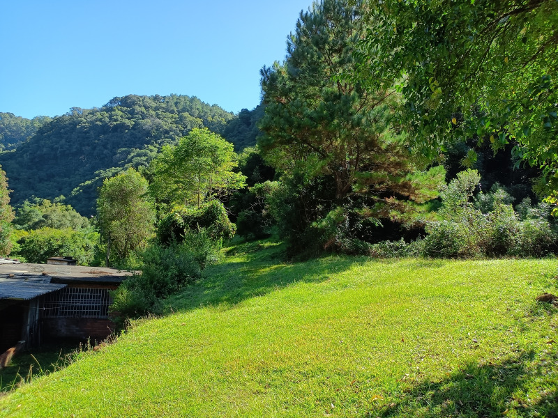 Fazenda à venda, 220000m² - Foto 61