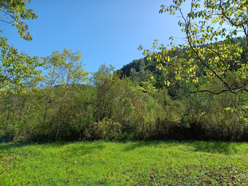 Fazenda à venda, 220000m² - Foto 26