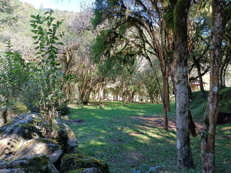 Fazenda à venda, 220000m² - Foto 23