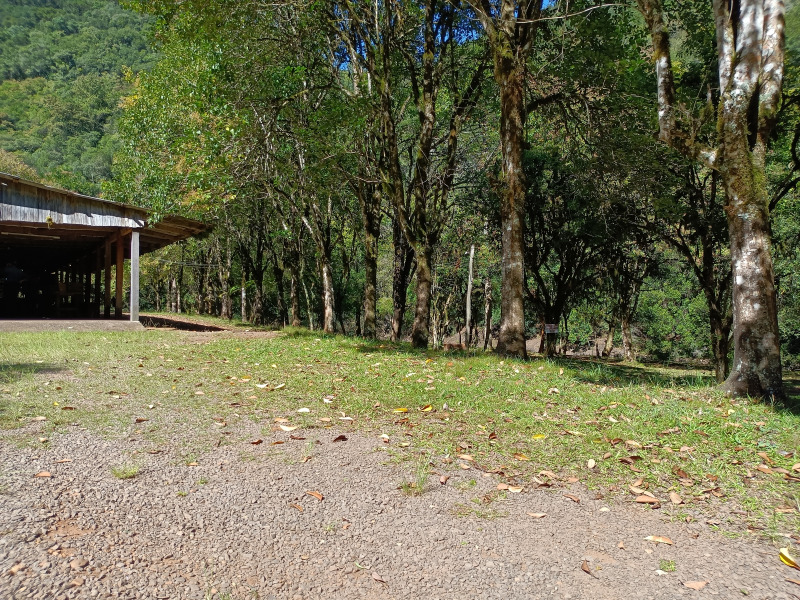 Fazenda à venda, 220000m² - Foto 5