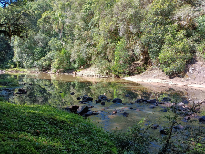 Fazenda à venda, 220000m² - Foto 45