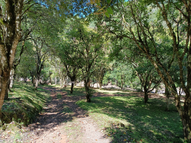 Fazenda à venda, 220000m² - Foto 88