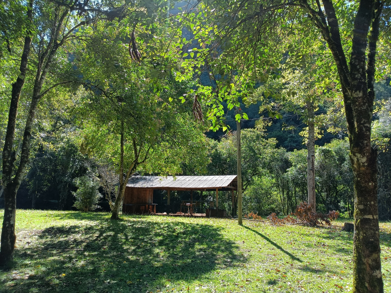 Fazenda à venda, 220000m² - Foto 71