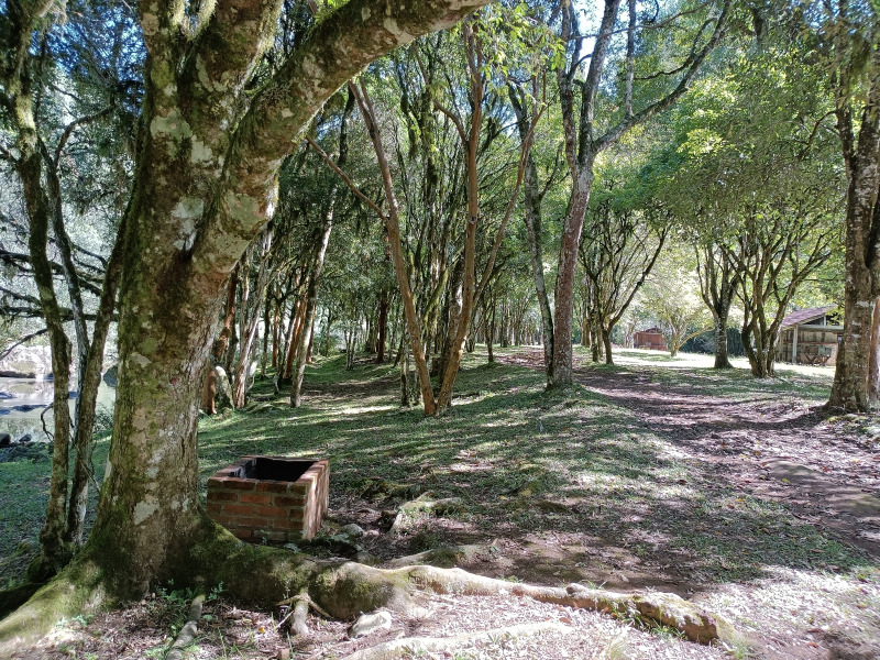 Fazenda à venda, 220000m² - Foto 67