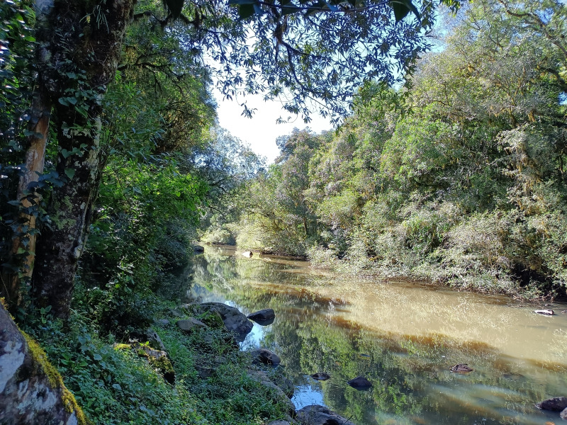 Fazenda à venda, 220000m² - Foto 53