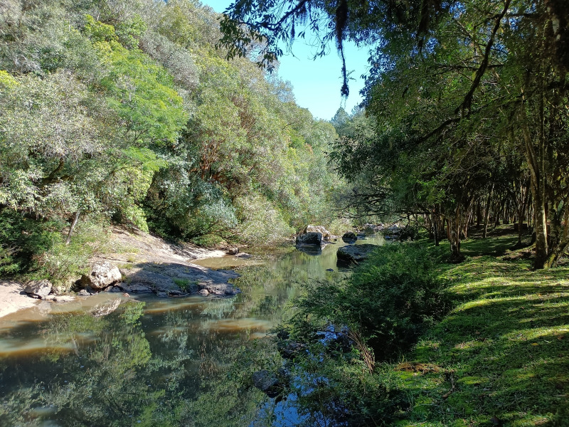 Fazenda à venda, 220000m² - Foto 66