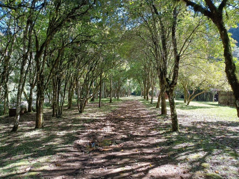 Fazenda à venda, 220000m² - Foto 68