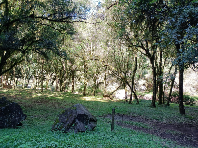 Fazenda à venda, 220000m² - Foto 81