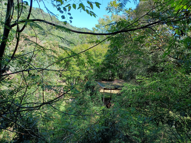 Fazenda à venda, 220000m² - Foto 85