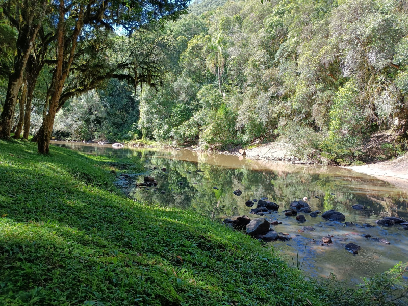 Fazenda à venda, 220000m² - Foto 4