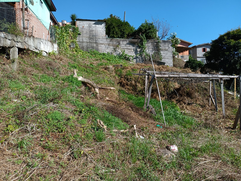 Terreno à venda, 360m² - Foto 3