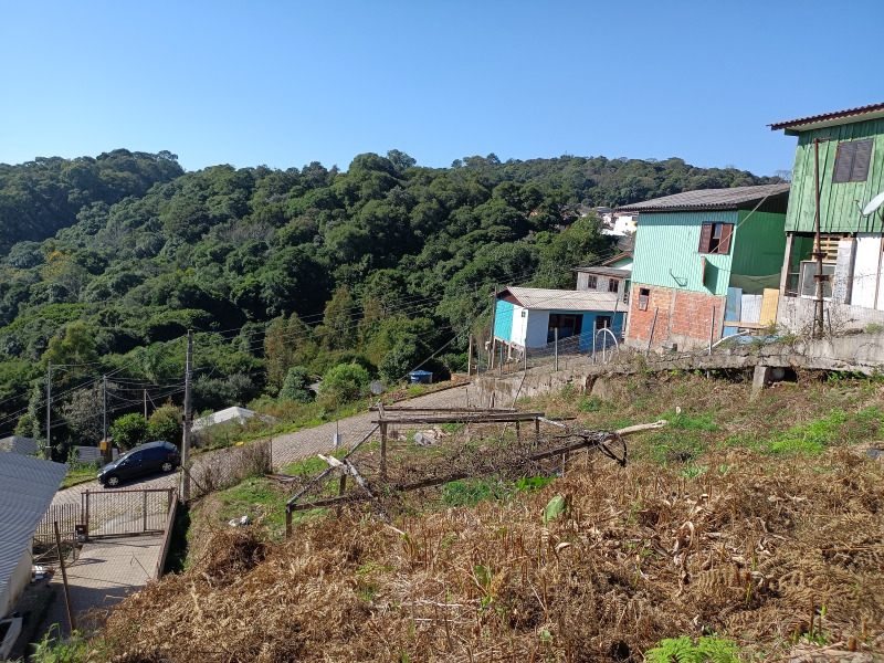 Terreno à venda, 360m² - Foto 6