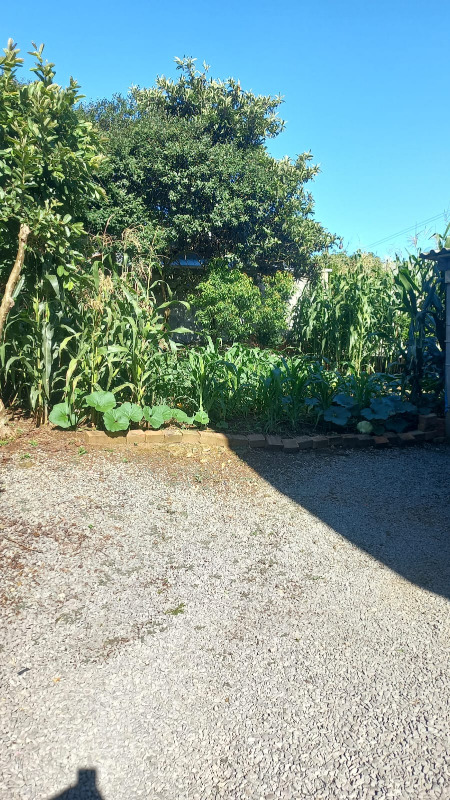 Casa, 6 quartos, 120 m² - Foto 16