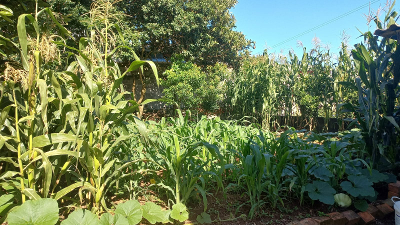 Casa, 6 quartos, 120 m² - Foto 21