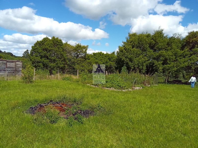 Chácara, 2 quartos, 10000 m² - Foto 6