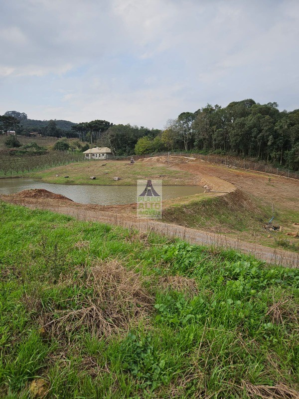 Chácara, 2 quartos, 60 m² - Foto 8