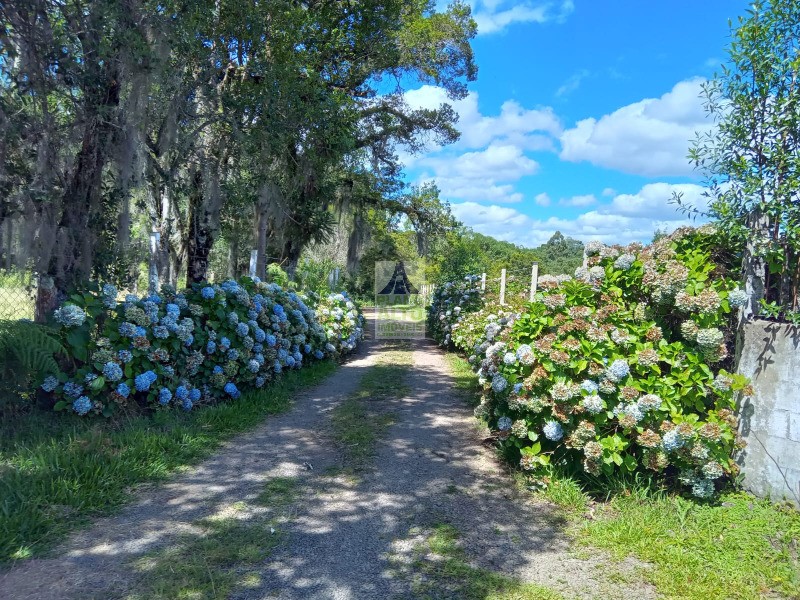 Sítio, 2 quartos, 10000 m² - Foto 2