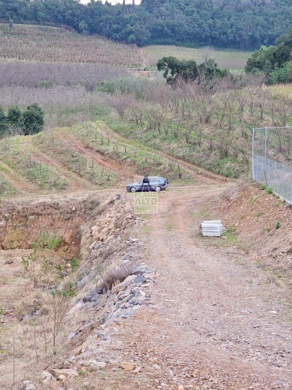 Chácara, 2 quartos, 60 m² - Foto 3