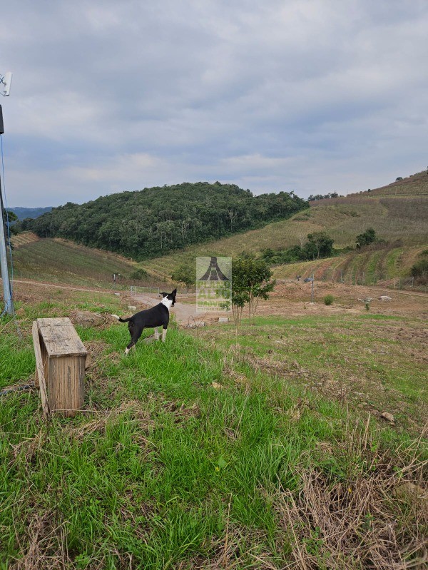 Chácara, 2 quartos, 60 m² - Foto 2