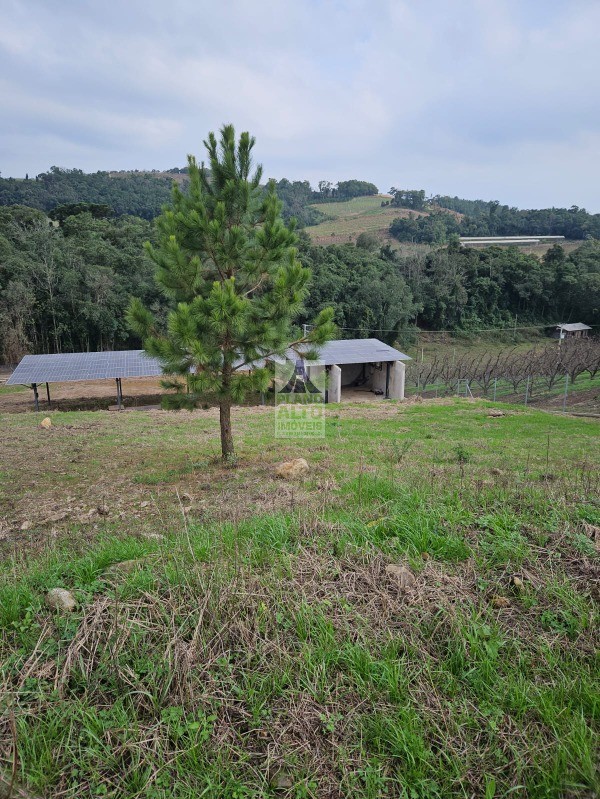 Chácara, 2 quartos, 60 m² - Foto 10