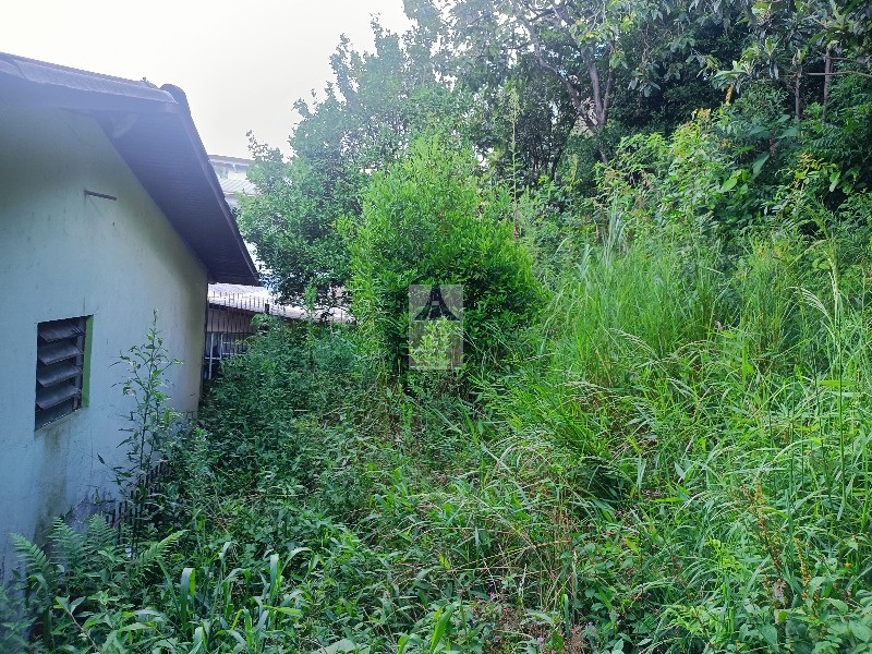 Casa, 3 quartos, 199 m² - Foto 11