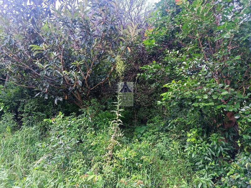 Casa, 3 quartos, 199 m² - Foto 10