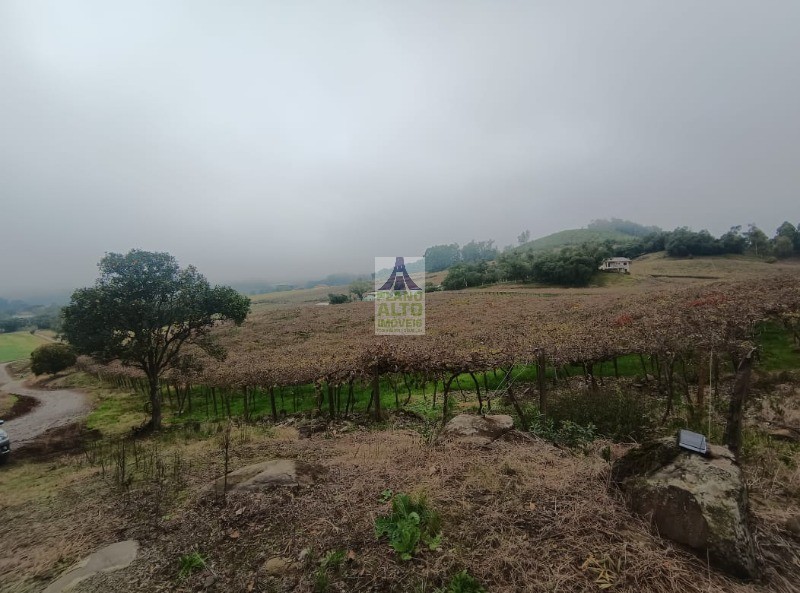 Sítio - Foto 7
