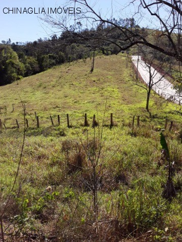 Sítio à venda com 5 quartos, 30000m² - Foto 5