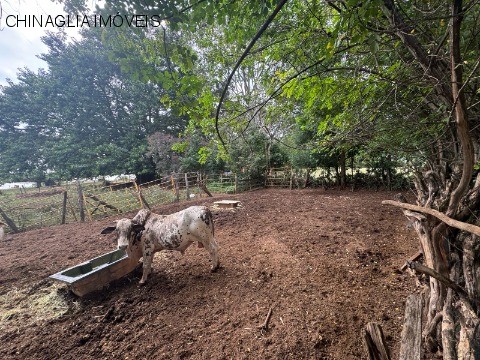 Loteamento e Condomínio, 2500 m² - Foto 6