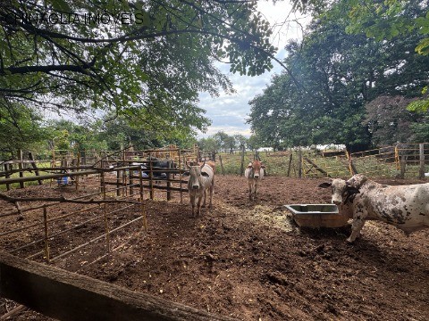 Loteamento e Condomínio, 2500 m² - Foto 9