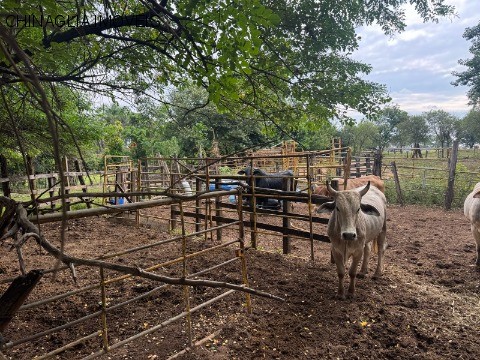 Loteamento e Condomínio, 2500 m² - Foto 11