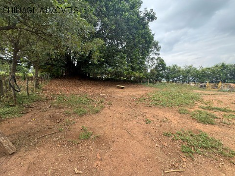 Loteamento e Condomínio, 2500 m² - Foto 2