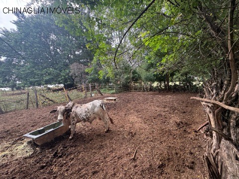 Loteamento e Condomínio, 2500 m² - Foto 7