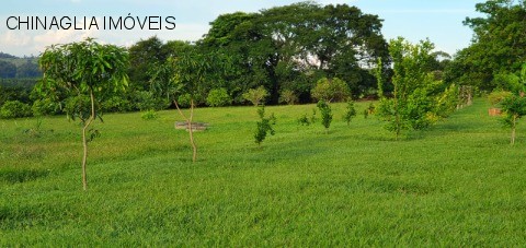Sítio, 4 hectares - Foto 40